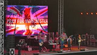 THE WARMTH OF THE SUN