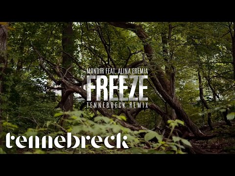 Monoir feat. Alina Eremia - Freeze | Tennebreck Remix | Radio Edit