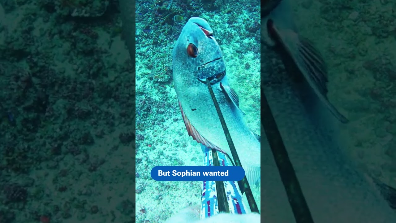 Using a bomb to catch fish?