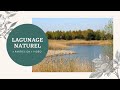 COURS COMPLET TRAITEMENT DES EAUX PAR LAGUNAGE NATUREL