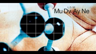 MUDVAYNE - MUTATIS MUTANDIS