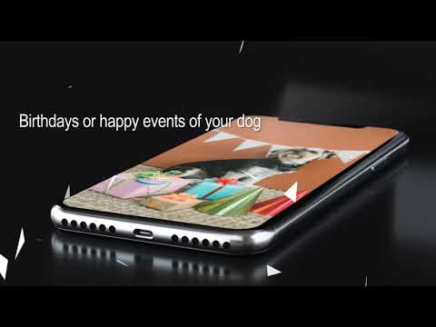 TOGO: Pet lovers companion app