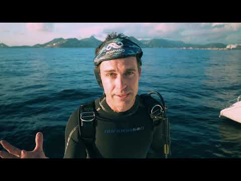 Blue Ocean Brain Trust Women in Ocean Science