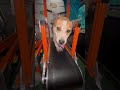 Thumbnail image 21