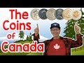 The Coins of Canada | Money Song for Kids | Jack Hartmann