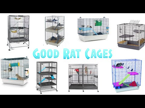 Good Rat Cages!