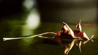 David de Souza - Chanson D&#39;Automne