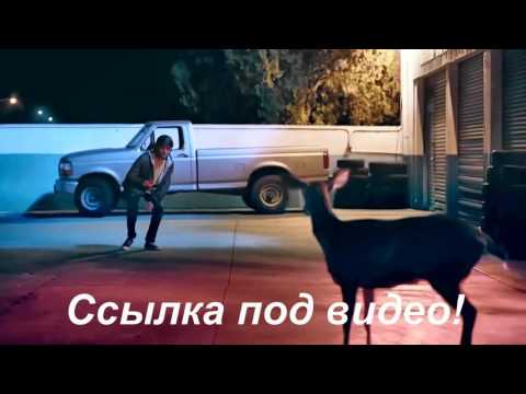выход айфон 7