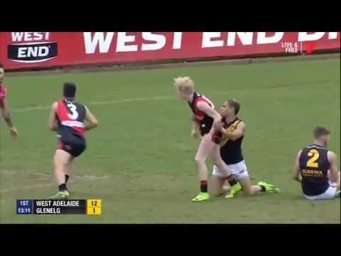 WAFC 2017 Highlights