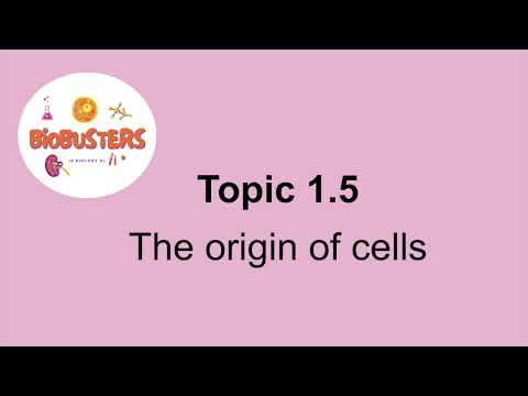 The Origin of Cells (Subtopic 1.5) IB Biology HL