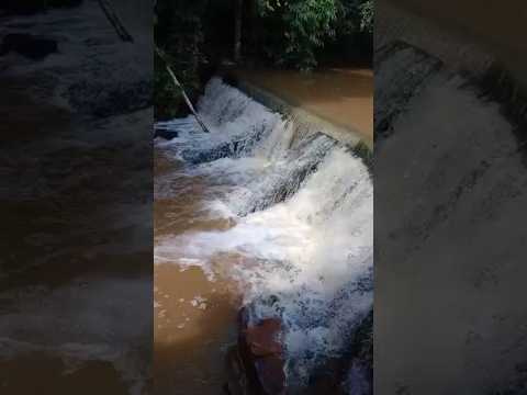 estância balnear de águas natureza ou minerais do vereador Marcão tarilandia Jaru Rondônia #shorts