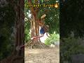 Knockout Kicks Taekwondo Karate Trick Training Fighting Mma Kungfu Speed Power Shorts