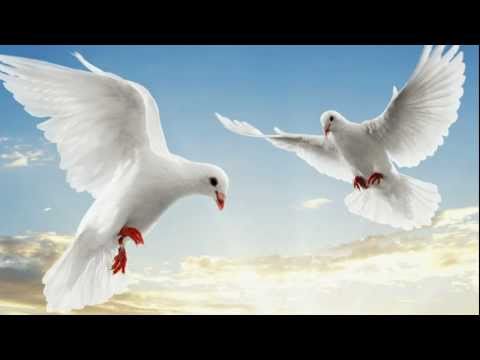 download lagu mp3 mp4 Jesus Licht Der Welt, download lagu Jesus Licht Der Welt gratis, unduh video klip Jesus Licht Der Welt