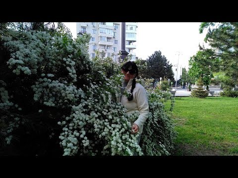 АНАПА Поликлиника  //  Ранняя, утренняя прогулка по Анапе  //  Посылка с цветочками