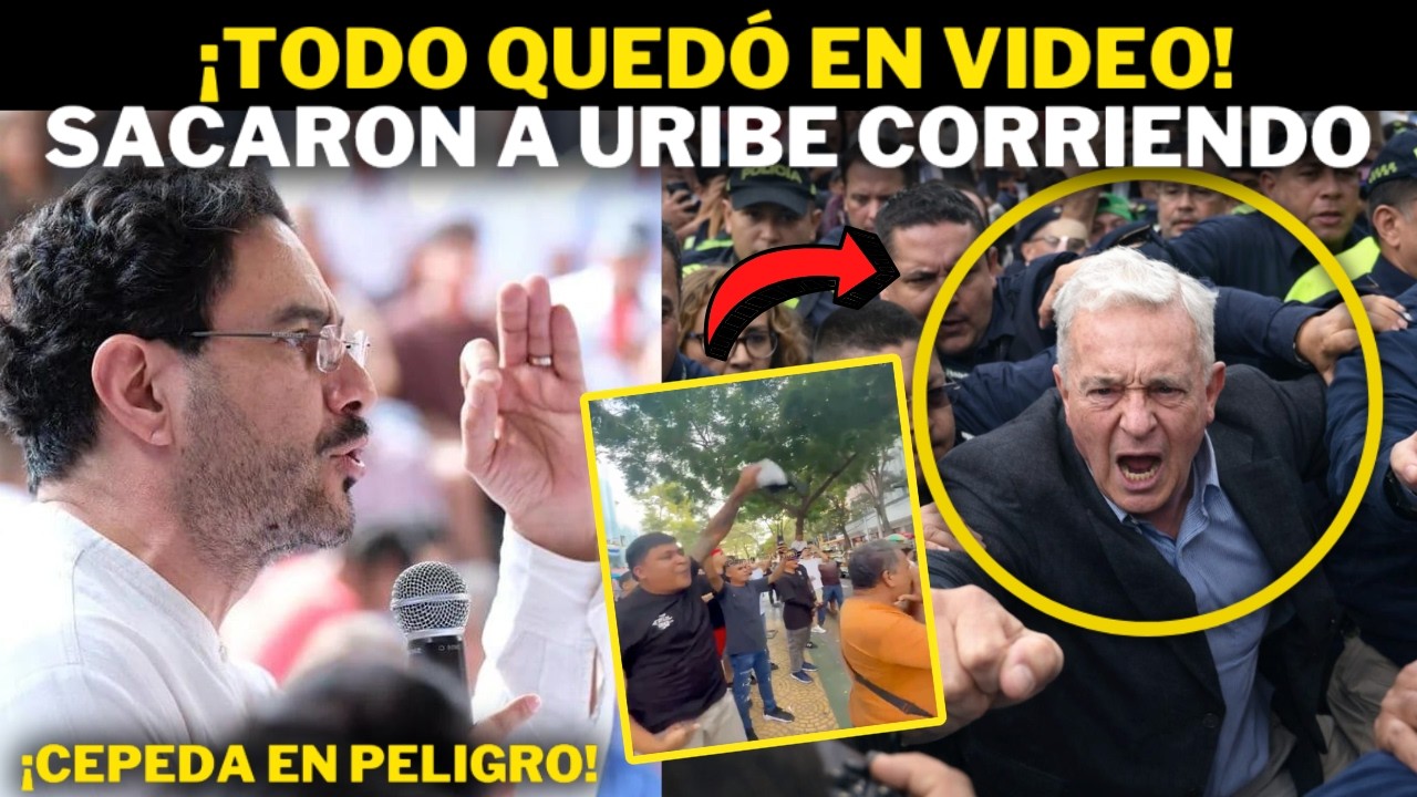 YouTube Thumbnail Downloader FULL HQ IMAGE