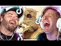 Reacting to hilarious TikToks before they ban it!