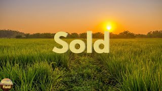 John Michael Montgomery - Sold (The Grundy County Auction Incident) (Lyrics)