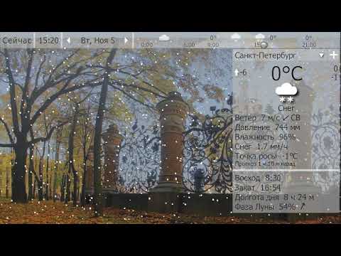 Погода. Санкт-Петербург. 4 - 6 ноября 19 г.
