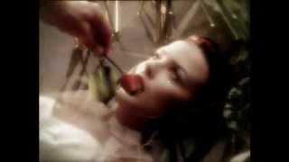 Kylie Minogue & Nick Cave-Where the Wild Roses Grow (1996)