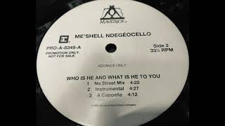 Who Is He And What Is He To You (Instrumental) / Me&#39;Shell NdegéOcello
