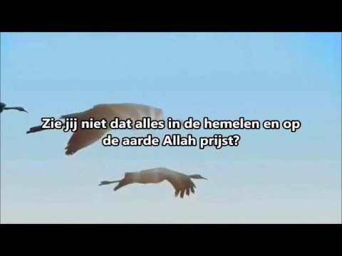 An Nur (41-42) Nederlands ondertiteld