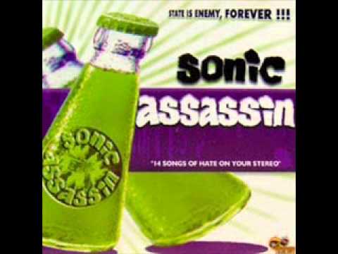 Sonic Assassin - i'm a liar, play with fire!