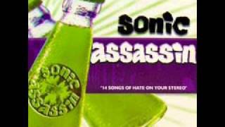 Sonic Assassin - i'm a liar, play with fire!
