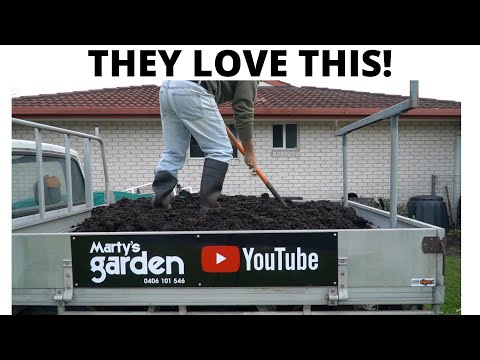 Chicken Manure Leaf Mould Mix For My Compost Worm Windrows