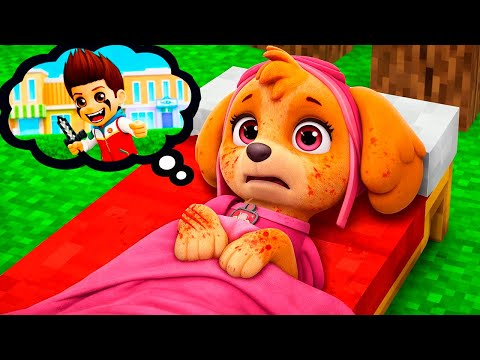 😱 ¿QUÉ Pasó con el SKYE de Paw Patrol en MINECRAFT?