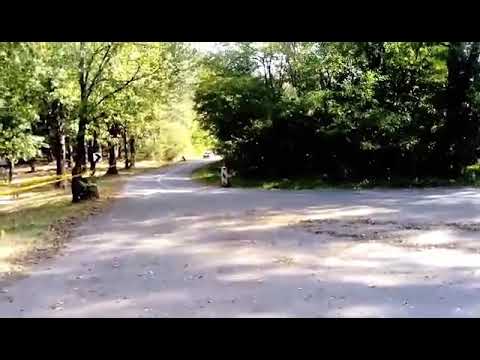 Miljkovic Mali N Srbija Rally 2020