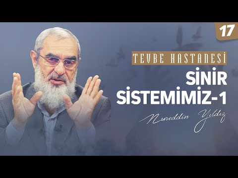 SİNİR SİSTEMİMİZ-1 [Tevbe Hastanesi-Nureddin Yıldız] 17.Ders