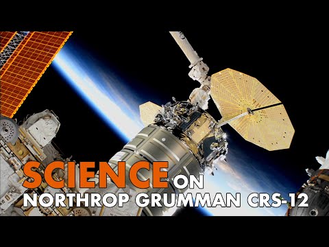 Scientific Investigations Set for Space on Northrop Grumman CRS-12
