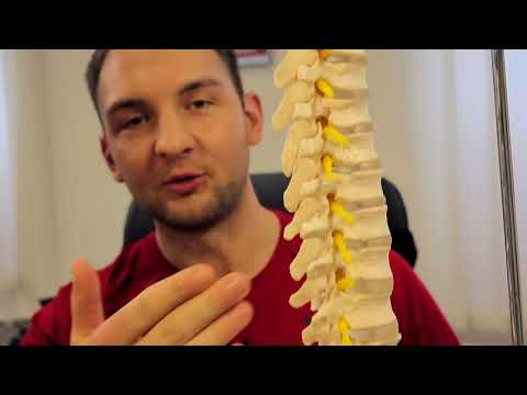 Übungen gegen Rückenschmerzen | Wirbelsäule erklärt