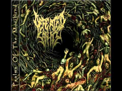 Defeated Sanity - Blissfully Calculated (Psalms Re-issue Bonus Track #1)