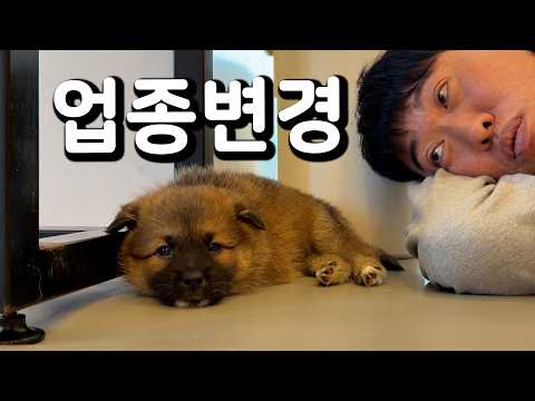 진짜 고양ㅇ..아니 개판 5분전