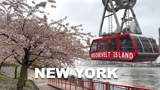New York City Walking Tour Spring 2024 4K NYC  Roosevelt Island Cherry Blossoms Walk 2024