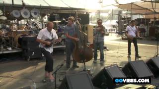 The Infamous Stringdusters Perform 