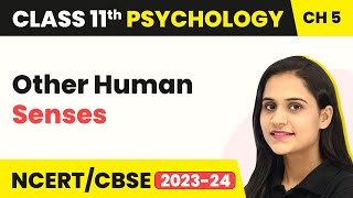 Other Human Senses - Sensory, Attentional & Perceptual Processes | Class 11 Psychology Ch 5 | CBSE