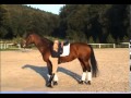 Das Korrekte Aufsteigen Correct Mounting