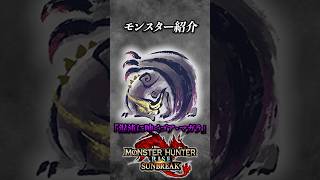 【解説】シャガルマガラ越えの力を持つゴア•マガラの特殊個体『混沌に呻くゴア•マガラ』 #モンハン #モンハンサンブレイク #モンハンライズサンブレイク #まーぼー #解説