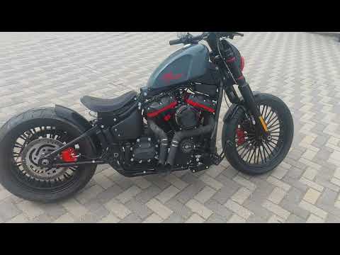 Harley-Davidson FXST 1746cc, choppers