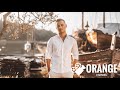 Tarapana Band - Oprosti mi majko (Official video)