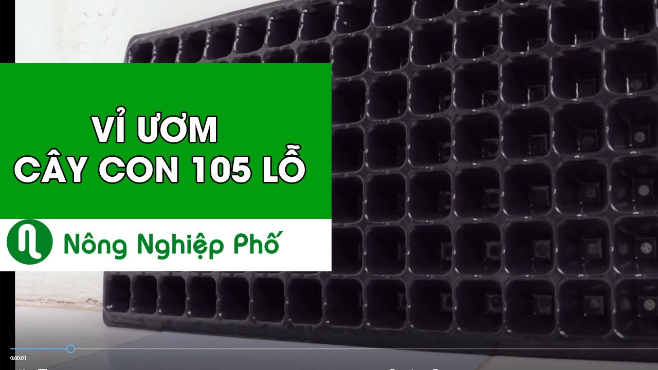 Vỉ ươm hạt 105 lỗ