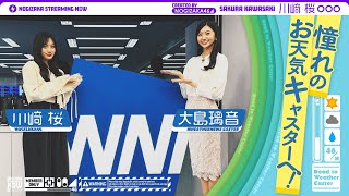 [乃木] 配信中 天氣川﨑桜