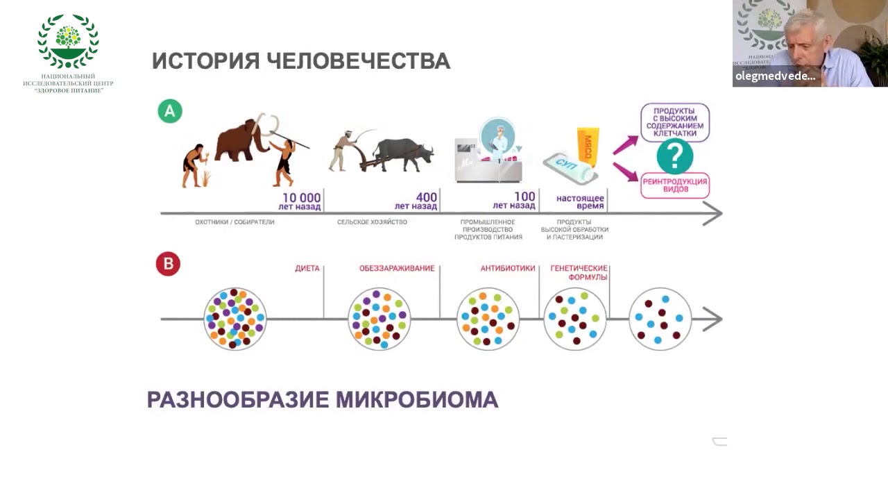 Почему важны растительные продукты?