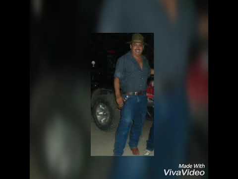 El  charro negro -Roble copaneco