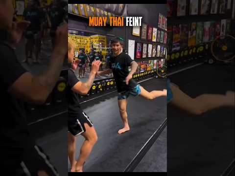 Muay Thai Feint Kick Tutorial | Drop Any Opponent Instantly #martialarts #boxing #mma #shorts