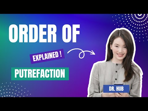 Order of putrefaction