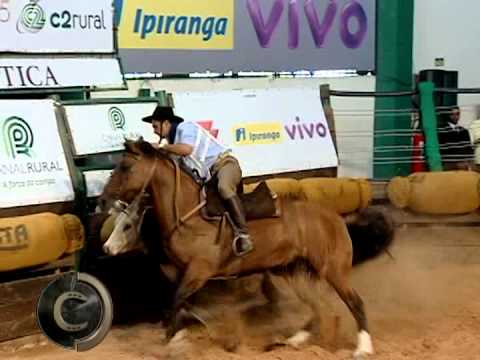 Jotace Utopia Bocal de Ouro 2015 a maior nota na mangueira de domingo, confere aí!