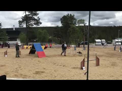 Vaisu Saariselkä 10.6.2018 F-rata 5 vp.